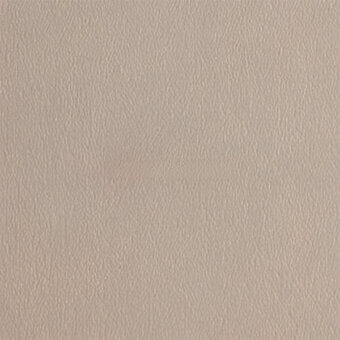 Beige leather texture with fine vertical grain, exhibiting a subtly mottled, brushed finish and matte appearance; egoitaliano carezza 209.